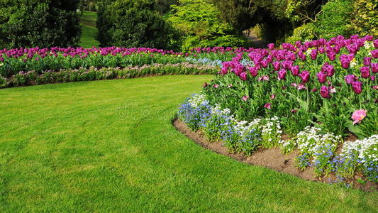 草坪和花园图片
