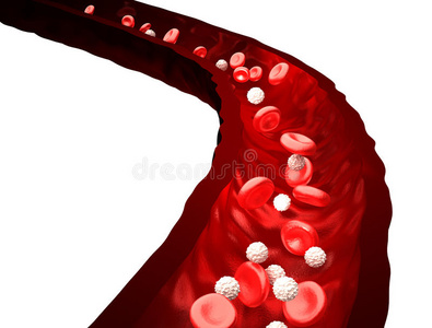 血流流经静脉的红细胞和白血球在白细胞上分离