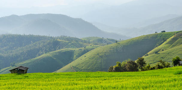 山野