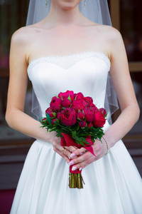 小红大丽花图片