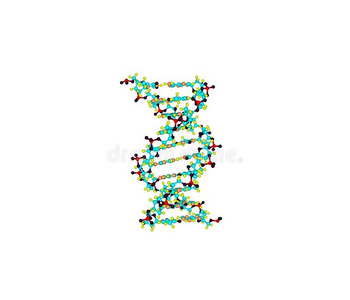 dna螺旋分子的白色分离