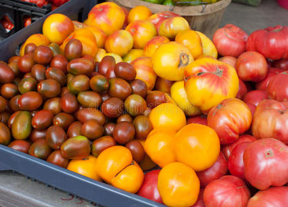 西红柿在农贸市场出售