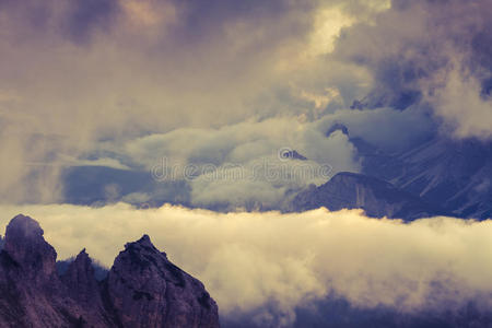 以阿尔卑斯山夏季多雾的早晨为背景