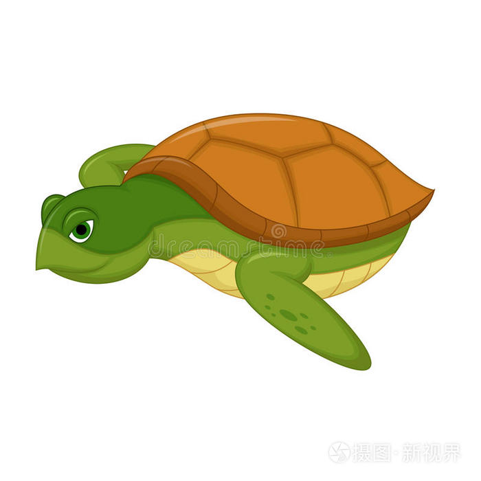 海龟游泳卡通