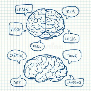 脑子进水脑子里有思维泡泡照片