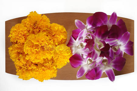 万寿菊和紫兰花