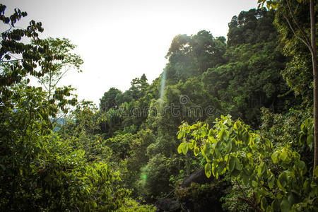 泰国苏梅岛热带景观
