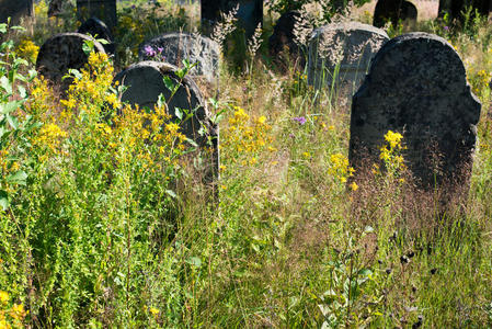 乌克兰喀尔巴阡山脉废弃的犹太人墓地