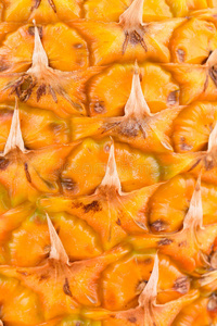 甜点 甜的 菠萝 水果 纹理 维生素 食物 松木 夏天 自然