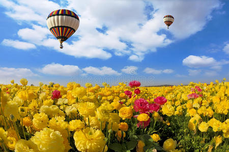 春天的阳光照耀着飞翔的气球