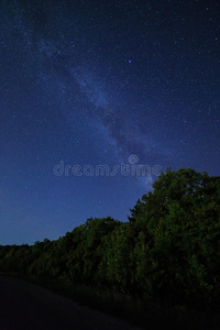 以夜空星空和森林为背景