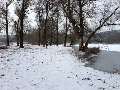 埃斯德比登雪