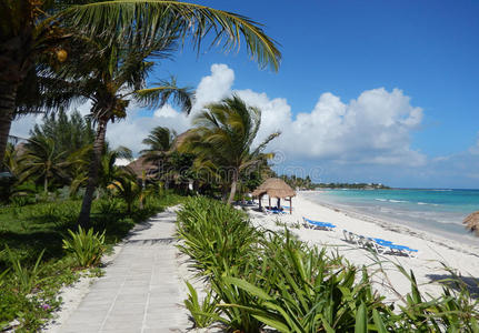 加勒比白沙滩和热带度假村的景观人行道