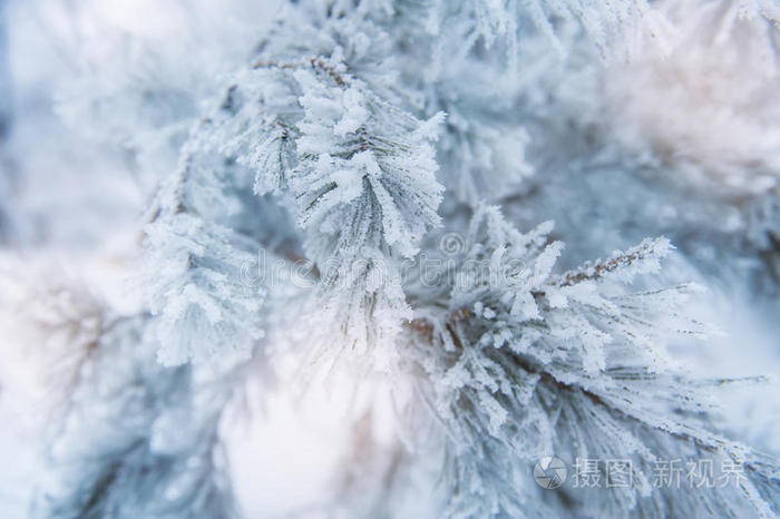 粗糙的蓝色假日封面，有许多雪花