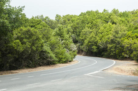 森林公路