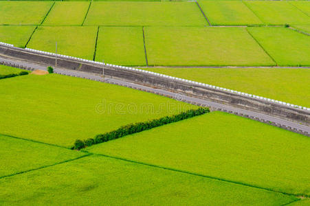 台湾农田之美福寿山农场台湾阿里山茶场台湾乡村风光台湾乡村风光台湾