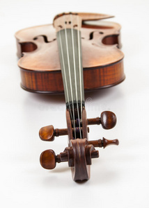 音乐会 管弦乐 古典的 美丽的 中提琴 前沿 阿马蒂 工具