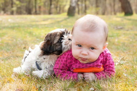 宝贝和小狗在草地上