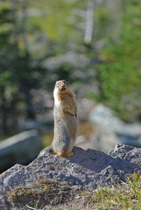 有趣的异想天开图片