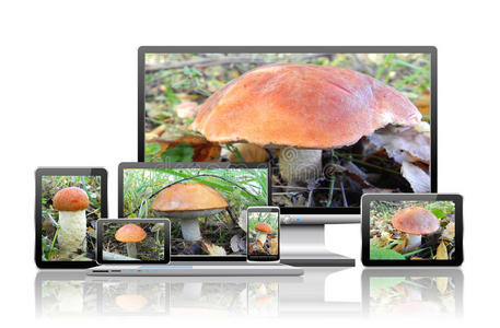 蘑菇的图像出现在电脑屏幕上