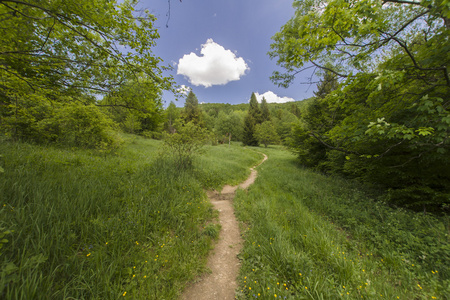 绿色的群山