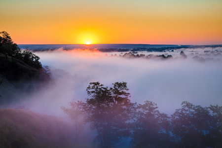 雾霭的清晨，在山谷和森林