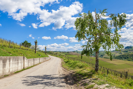 在意大利的蓝色天空下的农村公路