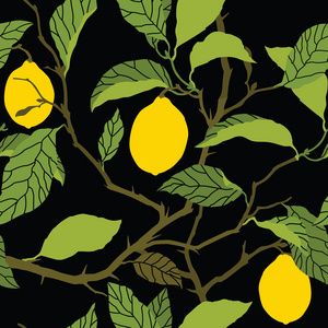 柠檬树装饰图案柠檬树花和柠檬柠檬树矢量集合手工绘制的柠檬树的花朵