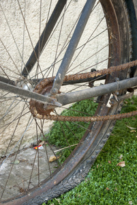复古自行车轮胎