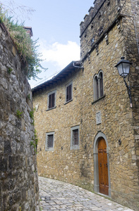 Monte FioralleChianti Tuscany