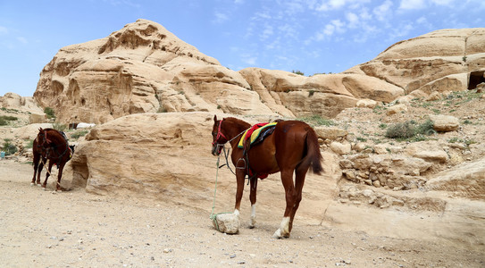 在佩特拉，Jordan 贝马