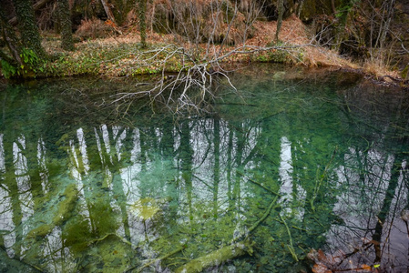 普莱维湖国家公园的小池塘