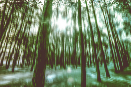 森林与超现实主义运动模糊抽象背景图片