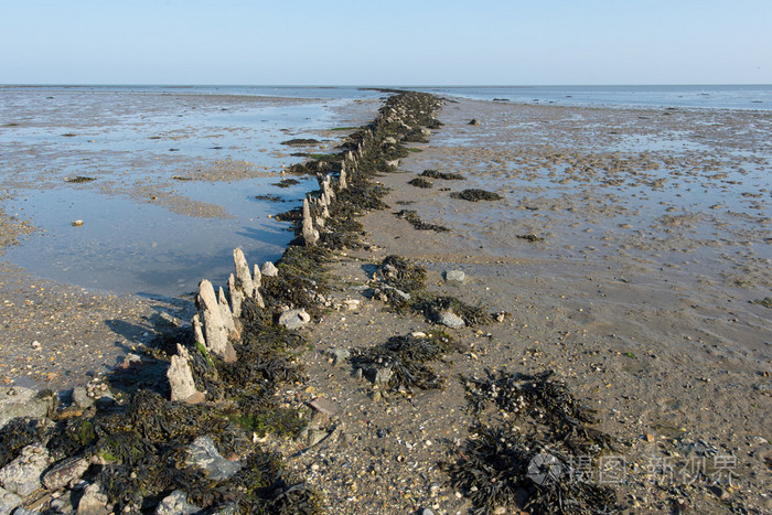 荷兰的海泥滩