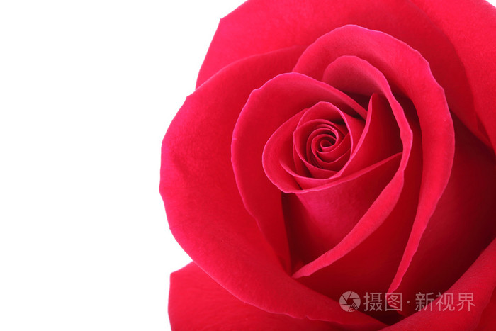 红色玫瑰花美丽的花瓣形状的心