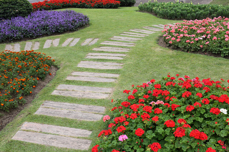 景观的花卉园艺与通路在花园中照片