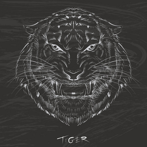 在白色背景上被隔离与逗猫坐在礼品盒上的贺卡回到学校的涂鸦在黑板上