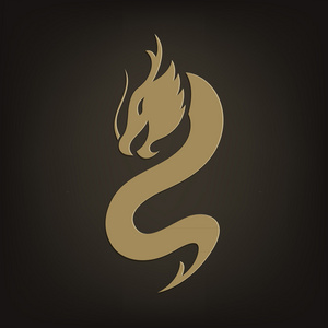 龙的标志矢量设计模板,龙图标照片