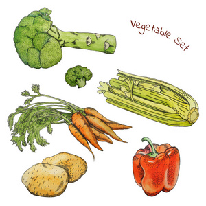 蔬菜水彩画图片-蔬菜水彩画素材-蔬菜水彩画插画-摄图新视界