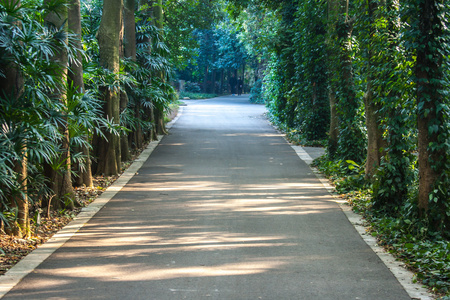 在公园路