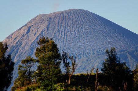 在印度尼西亚的婆罗摩火山
