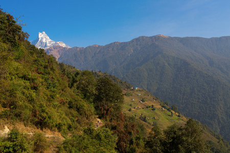 Machhapuchchhre 山鱼尾巴在英语中是一座山