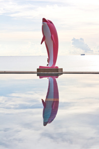 游泳池水和粉红色海豚雕像