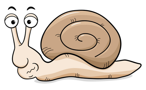 卡通蜗牛与蜗牛的壳照片