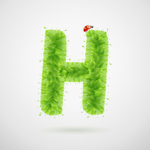 绿叶与瓢虫字母表。生态夏天插图。字母 H
