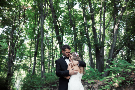 美丽的新婚夫妇构成在森林里