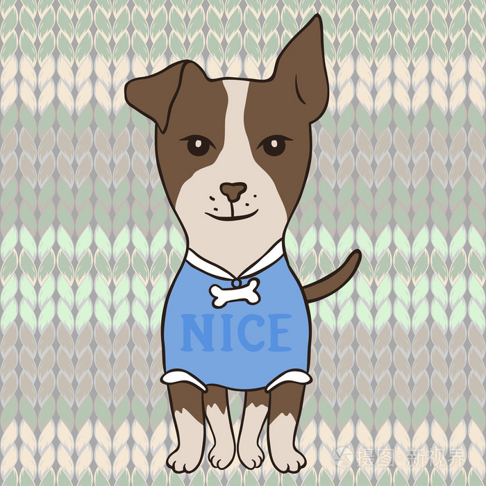 杰克罗素梗犬