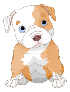 狗免可爱卡通小狗照片