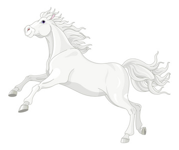 漂亮的白马图片