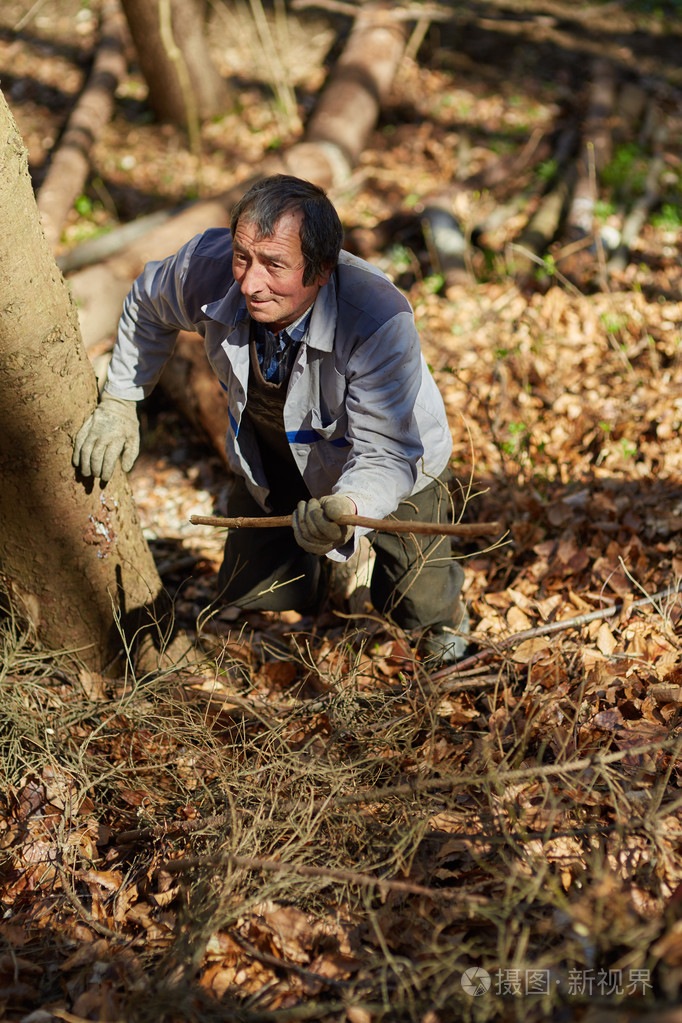 老白种人伐木工人在森林中移动